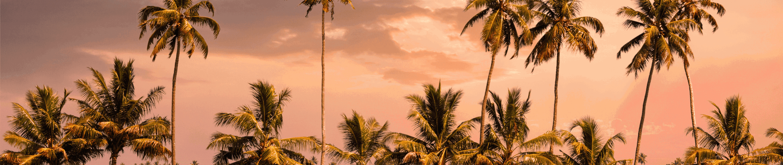 ‘Best of Kerala’ with CGH Group of Hotels