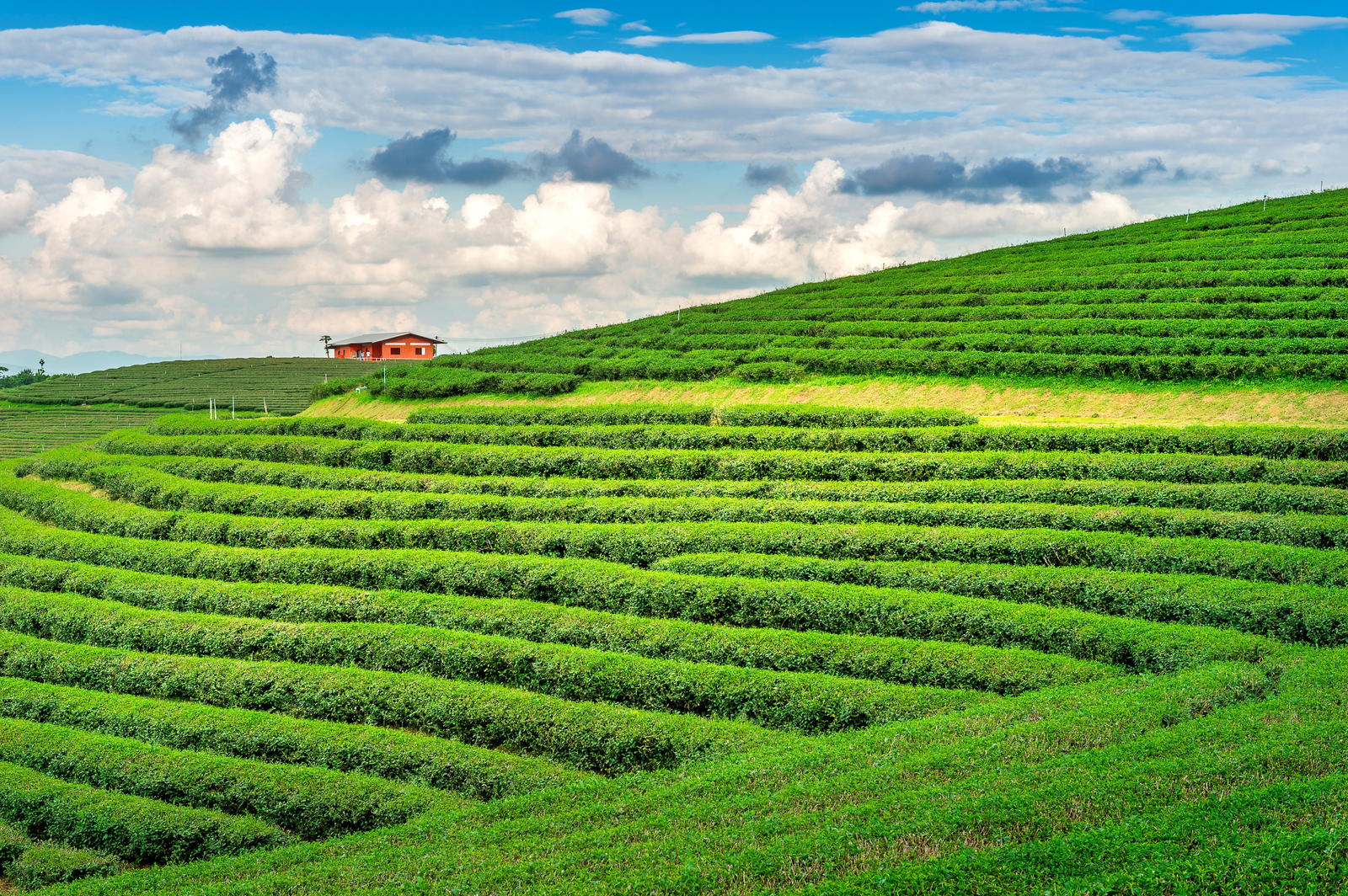 Best Trip of Kerala